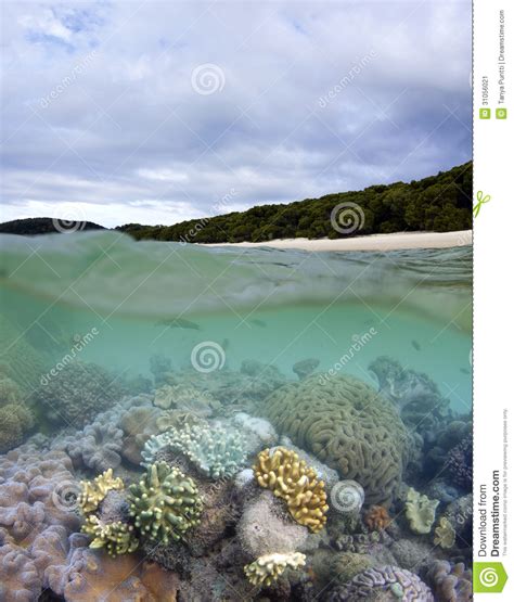 Whitehaven Beach And Living Coral Reef Stock Image Image 31056021