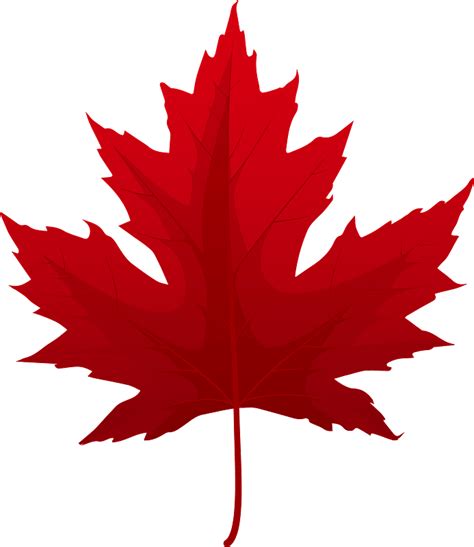 Silver Maple Red Leaf Clipart Free Download Transparent Png Creazilla