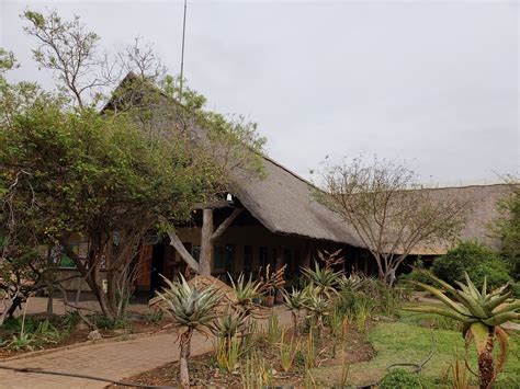 Hotel Review Skukuza Rest Camp Kruger National Park