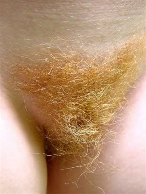 Red Pubes 13 Pics Xhamster
