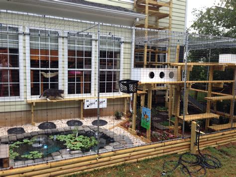 Pin by chellsea cooper on Purrfect Catios' Enclosures | Outdoor cat