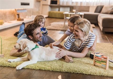 Bring A New Pet Home With These 5 Tips Valley News