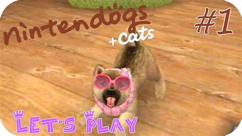 Lets Play Nintendogs Cats Golden Retriever 1 E Un Bel