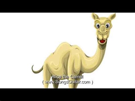 Zamel the camel has five humps. Alice the Camel | Song & Lyrics - YouTube