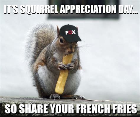 National Squirrel Appreciation Day Meme Images Quotes  Captions