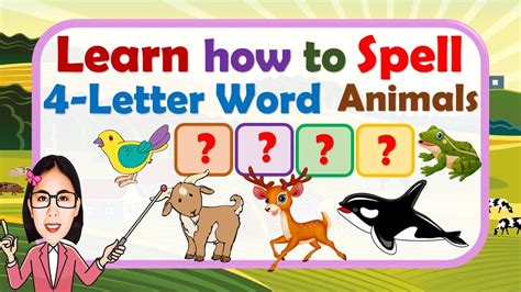 Learn How To Spell 4 Letter Word Animals Part 5 Animals Word
