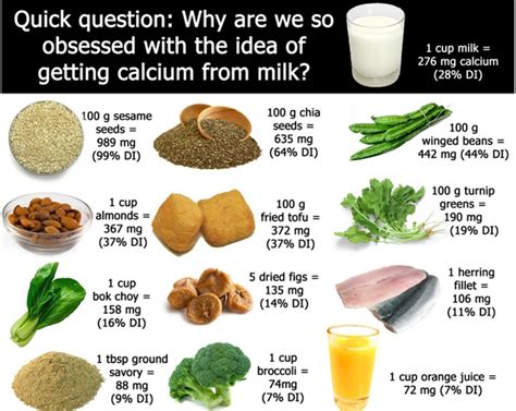 Sources Of Calcium Compared To Milk Foods With Calcium Vegan Calcium