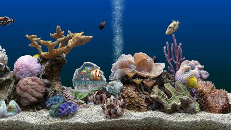 Marine Aquarium 3d Screensaver For Windows Hd Youtube