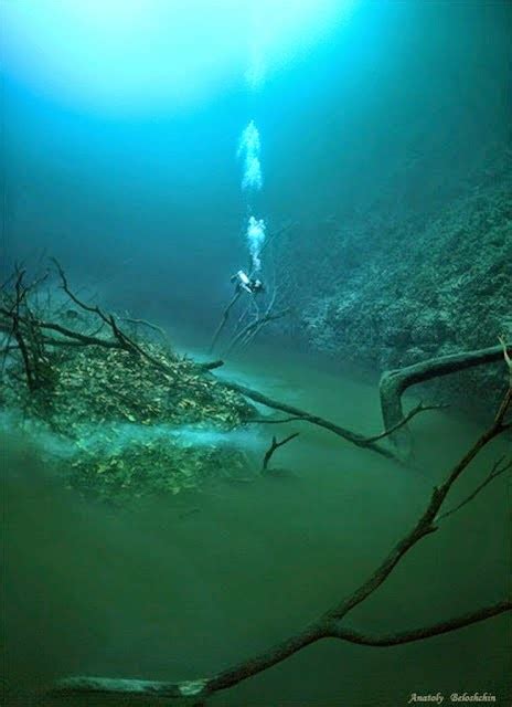 Mexico Underwater River Flowing Under The Ocean