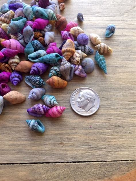 Colored Mini Tiny Sea Shells Lot Of Dyed Shells Wedding Table
