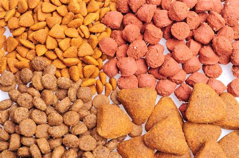 The Best Dry Dog Food For Your Pooch New Dog Tips