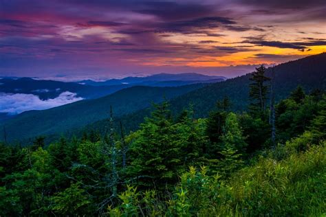 4 Incredibly Scenic Views In Gatlinburg Tn And The Smoky Mountains