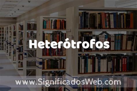 Concepto De Heterótrofos ️ Significado Y Definición