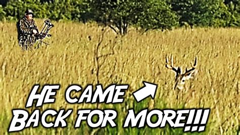 Buck Down And Bucks Everywhere South Florida Deer Hunting Rut Action