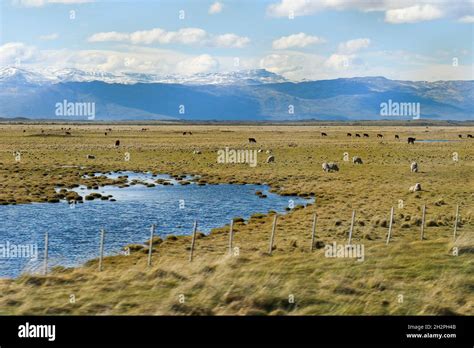 River Santa Cruz Passing Through Patagonia Stock Photo Alamy