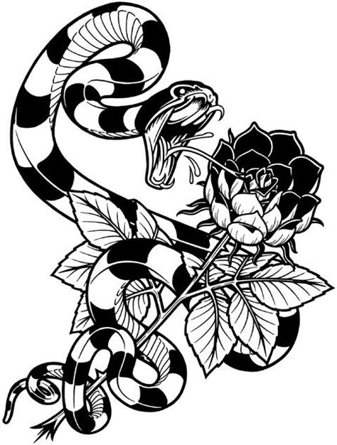 Snake And Roses Illustration Illustration Drawings Snake Drawing