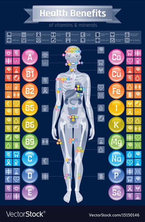 Mineral Vitamin Effect Icons Health Benefit Flat Vector Image