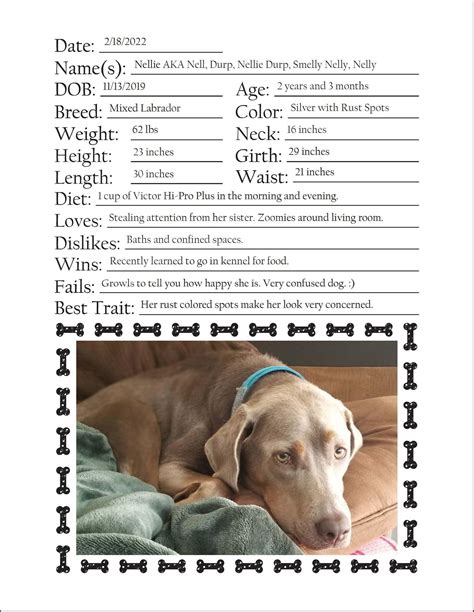 Dog Measurements Chart And Form Etsy