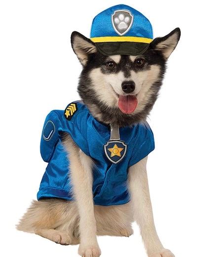 8 Paw Patrol Halloween Costumes Thatll Have Your Mighty Pup Ready To