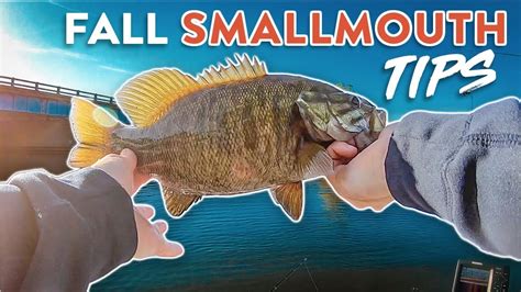 Fall Smallmouth Bass Fishing How To Catch Smallies In Cold Water