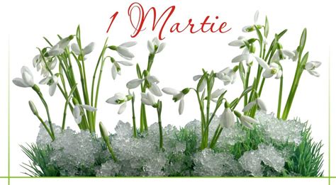 You can create tiles of varying sizes to perfect your monitor layout. Aici puteti gasi cele mai frumoase urari pentru 1 Martie ...