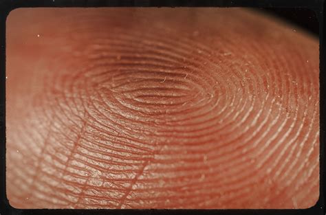 Close Up Of My Fingerprint Fingerprint Art Kids Fingerprint Art
