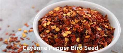 Pepper Bird Seed: Does Cayenne Pepper Deter Squirrels? - Birds & Wetlands
