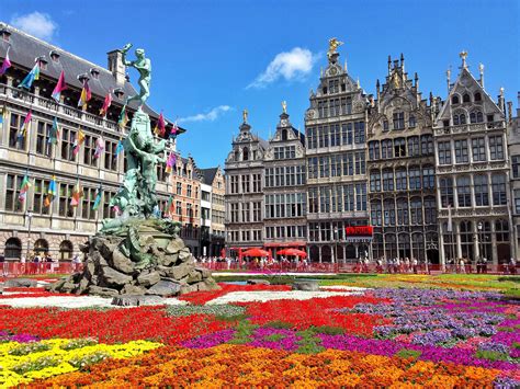 Rolling along in antwerp belgium | traveling with mj. Flower carpet in Antwerp - WORLD WANDERISTA