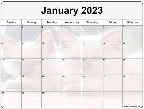 Cute Printable January 2023 Calendar Printable World Holiday
