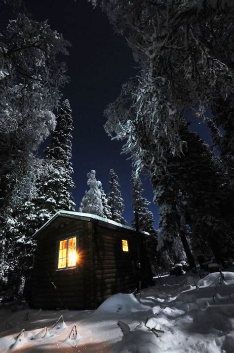 Forest Cabin In The Winter Moonlight Forest Cabin Winter Cabin