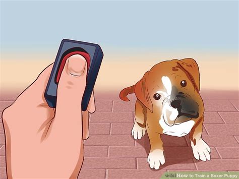 4 Ways To Train A Boxer Puppy Wikihow
