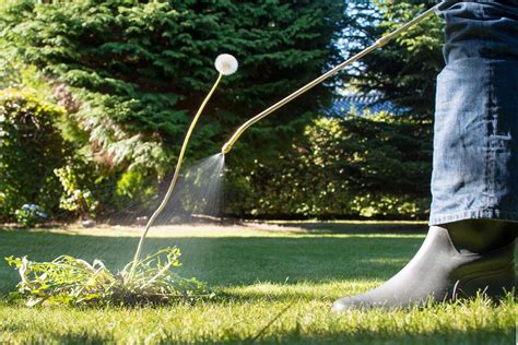 Whether you don't have time, or lawn care just isn't your passion, we're here to help! Lawn Treatment Service Cost Guide | Checkatrade Blog