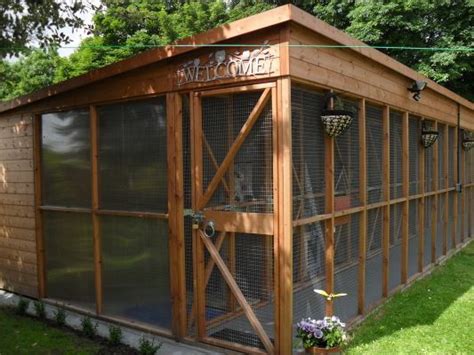 Welcome To Our New Purpose Built Cattery Outdoor Structures Outdoor