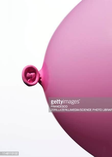 Pink Balloons Breast Cancer Photos And Premium High Res Pictures