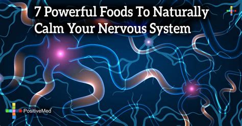 Powerful Foods To Naturally Calm Your Nervous System