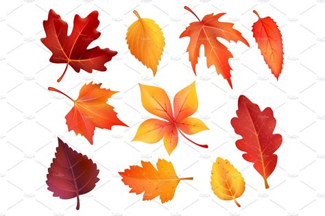 Autumn Foliage Leaf Icons Of Vector Falling Leaves Affiliate Oak