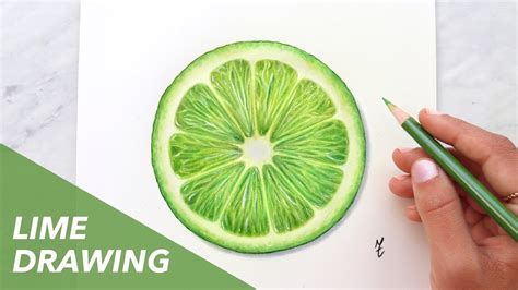 Drawing Fruit With Colored Pencils Lime Youtube
