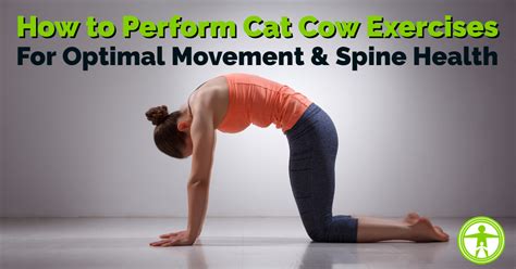 Cat Cow How To Do Cat Cow Pose In Yoga Bitilasana And Marjaryasana