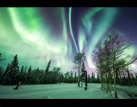 The Northern Lights Illuminate The Night Sky In The North Pole Alaska