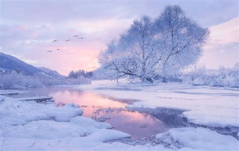 Magical Winter Dream Creative Landscape Composition A Winter Land