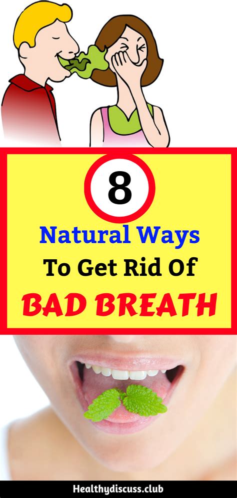 these are the 8 natural ways to get rid of bad breath badbreath health healthy homeremedies