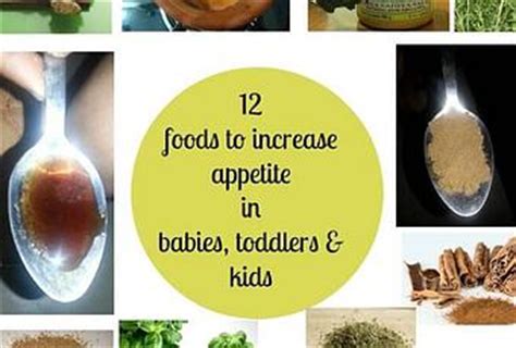 Why does my toddler not want to eat? Increase Appetite in Babies, Toddlers and Kids with 12 ...