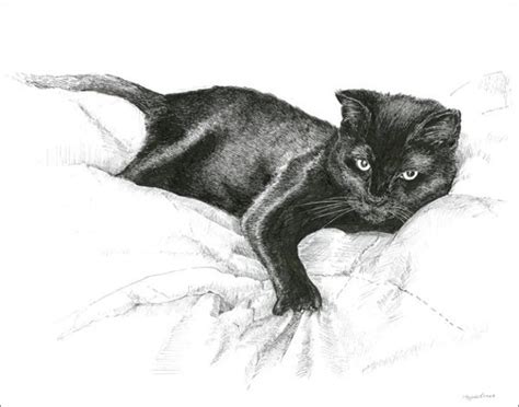 Danielle trudeau | live your art life how to draw a realistic cat. 9+ Animal Sketches | Free & Premium Templates | Free ...