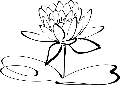 Download Lotus Flower Flower Background Royalty Free Vector Graphic