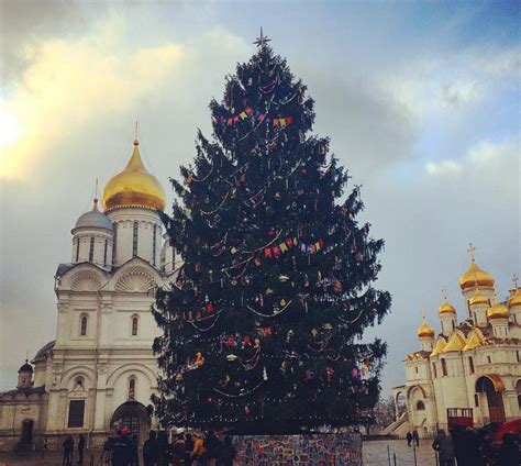 The Main Russian Christmas Tree Has Appeared At The Kremlins Sobornaya