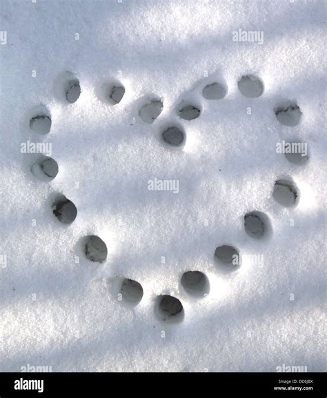 Snow Heart Shape Stock Photo Alamy