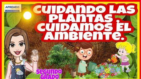 Cuidando Las Plantas Cuidamos El Ambiente DÍa 3 Semana 28 Aprendo En