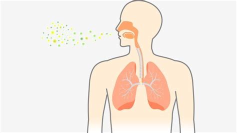 Symptômes Et Causes De La Pneumonie