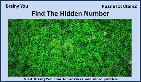 Can You Find The Hidden Number In This Picture In 1 Minute Puzzle
