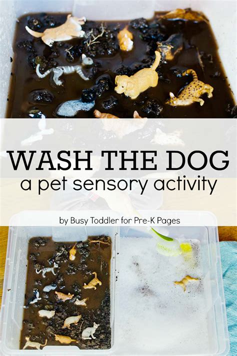 Pet Sensory Activity: Wash the Dog - Pre-K Pages